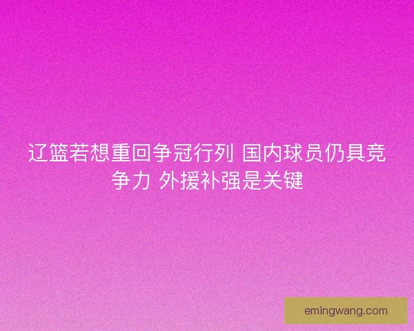 辽篮若想重回争冠行列 国内球员仍具竞争力 外援补强是关键