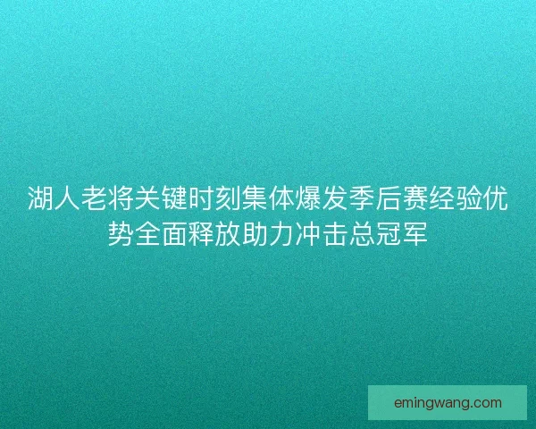 湖人老将关键时刻集体爆发季后赛经验优势全面释放助力冲击总冠军