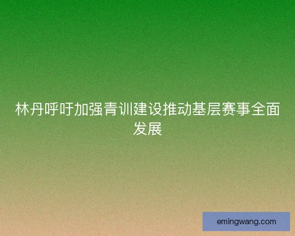 林丹呼吁加强青训建设推动基层赛事全面发展