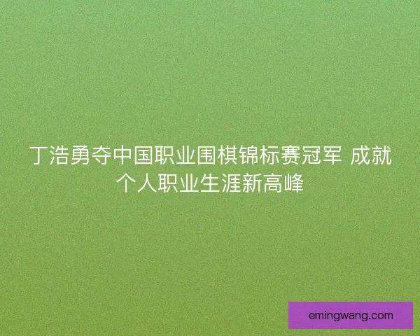 丁浩勇夺中国职业围棋锦标赛冠军 成就个人职业生涯新高峰